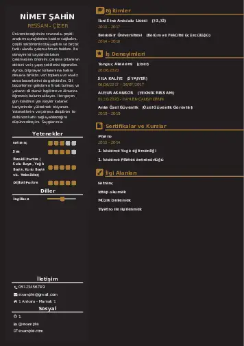 Ressam Cv Örnekleri cv indir